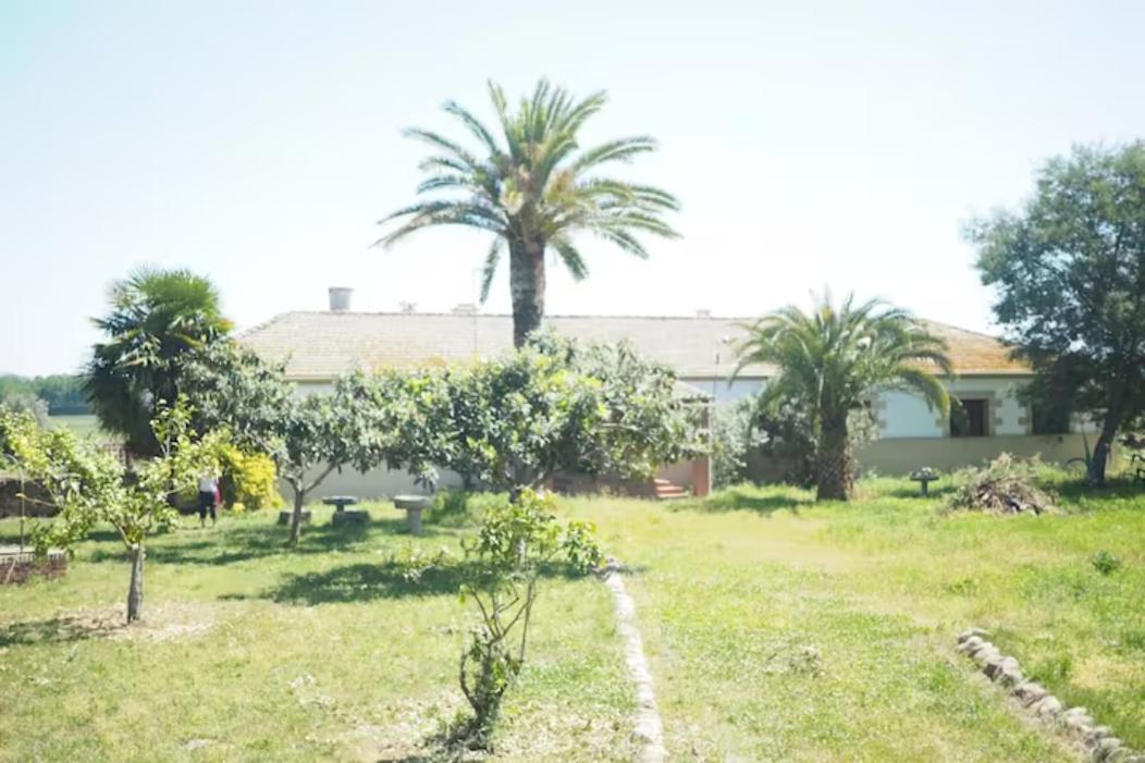 Casa Rural Finca San Bernardo 3 Estrellas Montehermoso 외부 사진